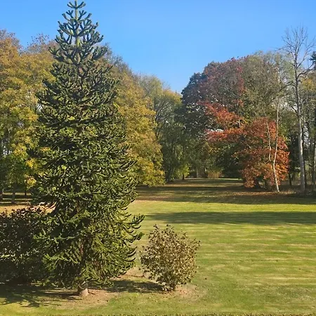 Chateau Leken's 4*